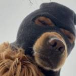 WEILI WEILI Profile Picture